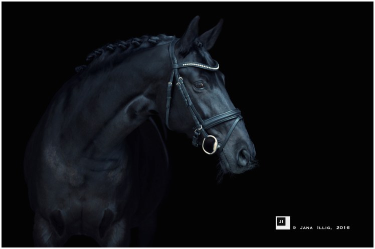 IMG_9504_DxOpmrandweb